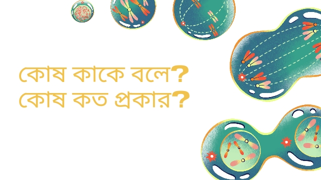 কোষ কাকে বলে